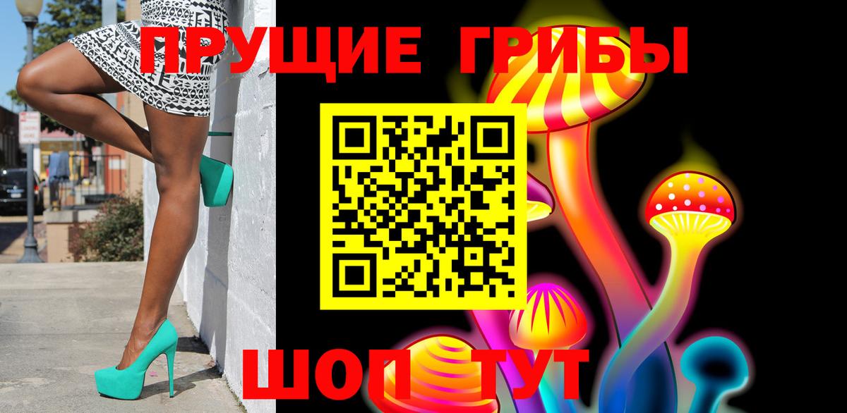 Галлюциногенные грибы Psilocybe Алушта